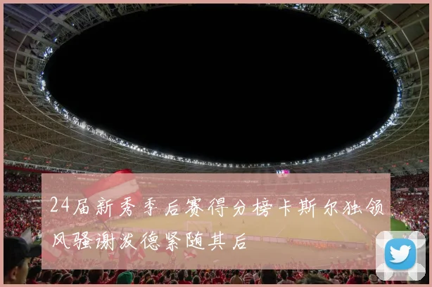 24届新秀季后赛得分榜卡斯尔独领风骚谢泼德紧随其后